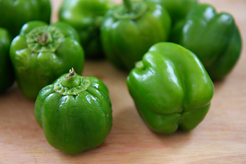 4502090181 52ef24ff49 O