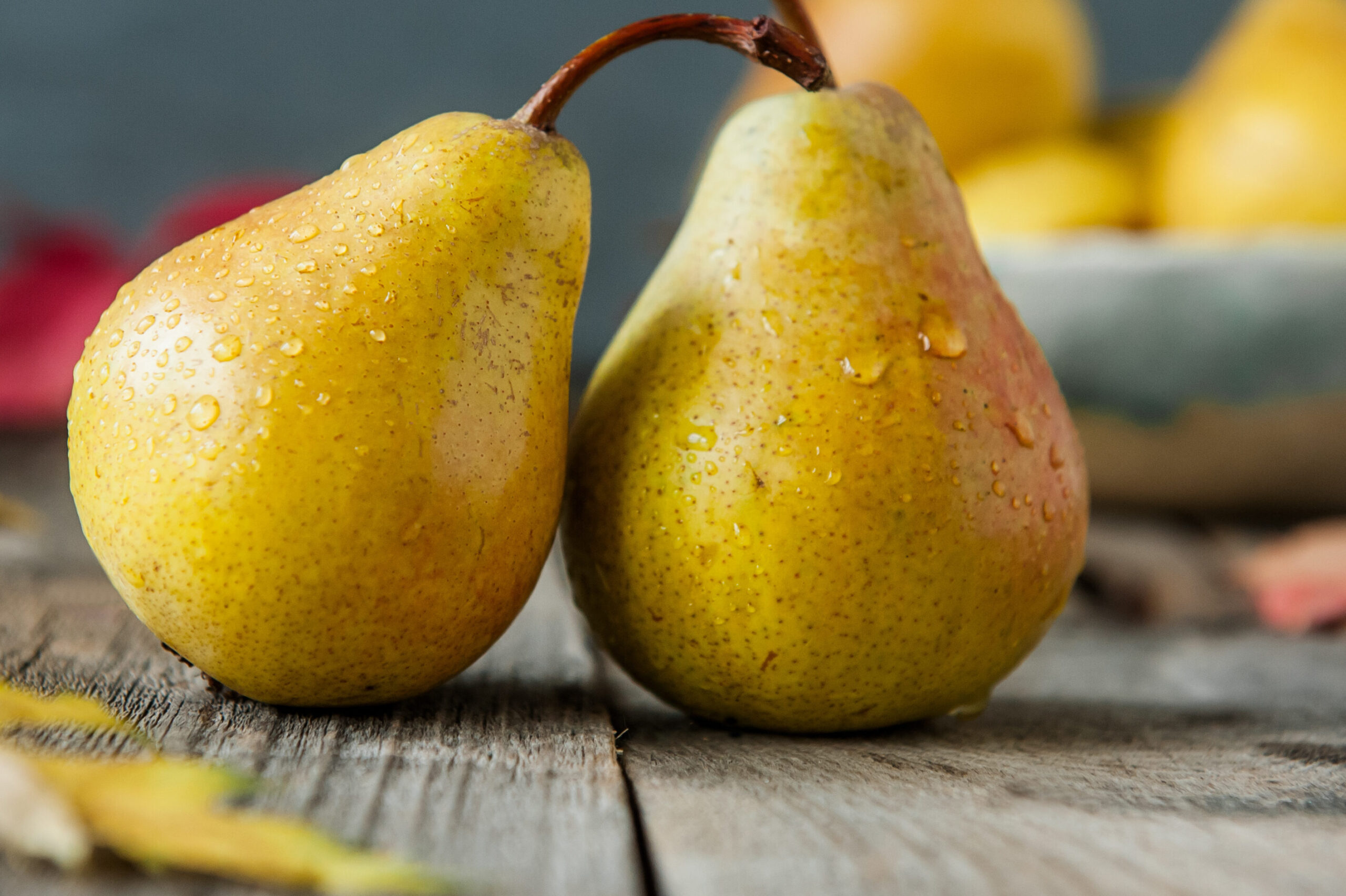 AdobeStock 215986288 1 Edited Scaled