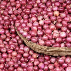 Indian Fresh Small Onion 896 300x300