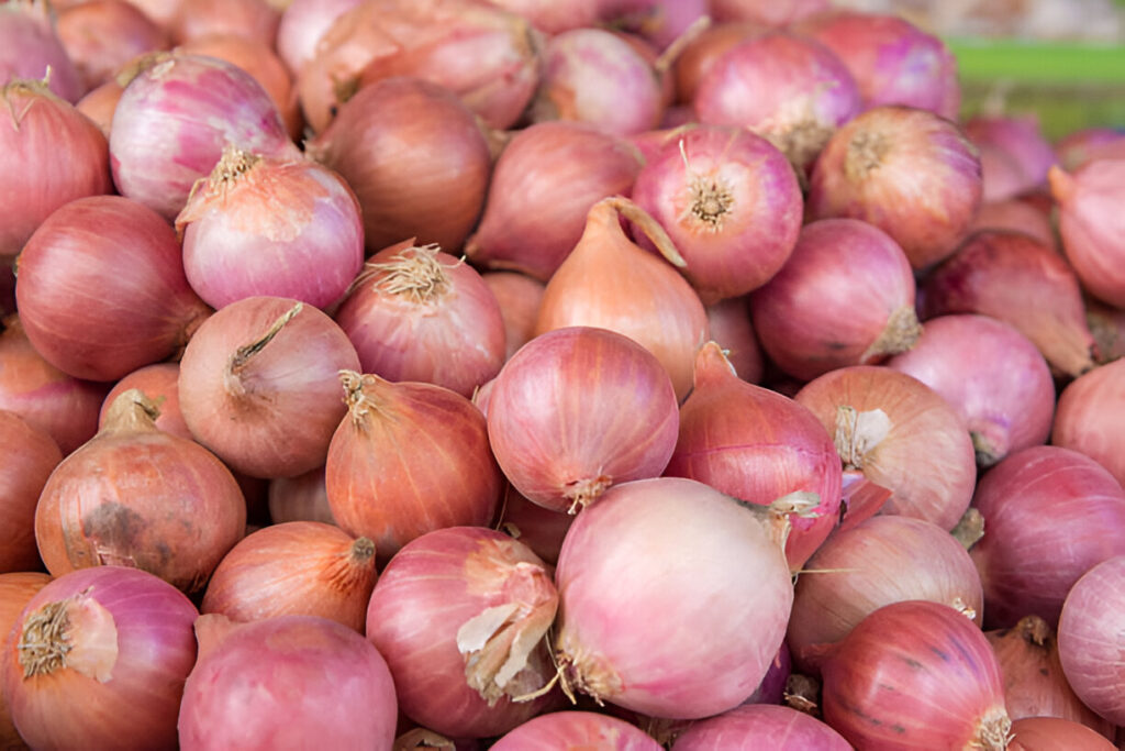 indian onions