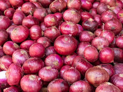 onion 1688232898 6963251