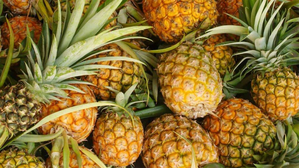 Pineapple Copy 1024x576