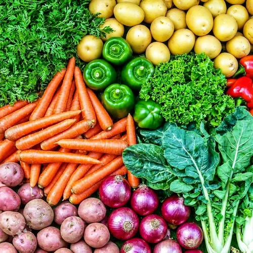 product jpeg 500x500 (1) product jpeg 500x500 (1)